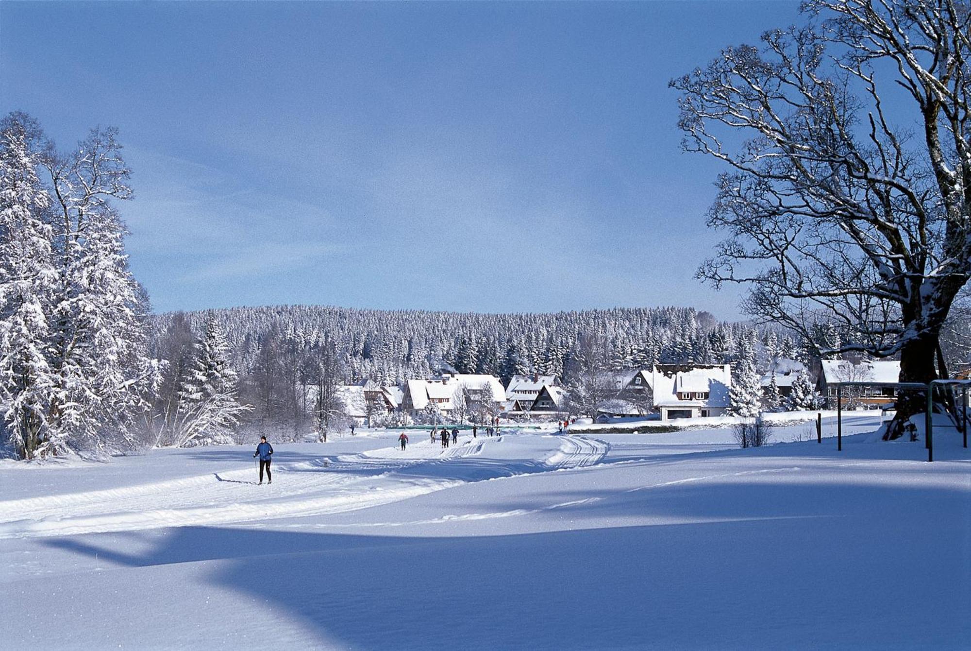 Drei Tannen - Wohnung 09 - Apartmenthaus, Titisee, Feldberg Ngoại thất bức ảnh