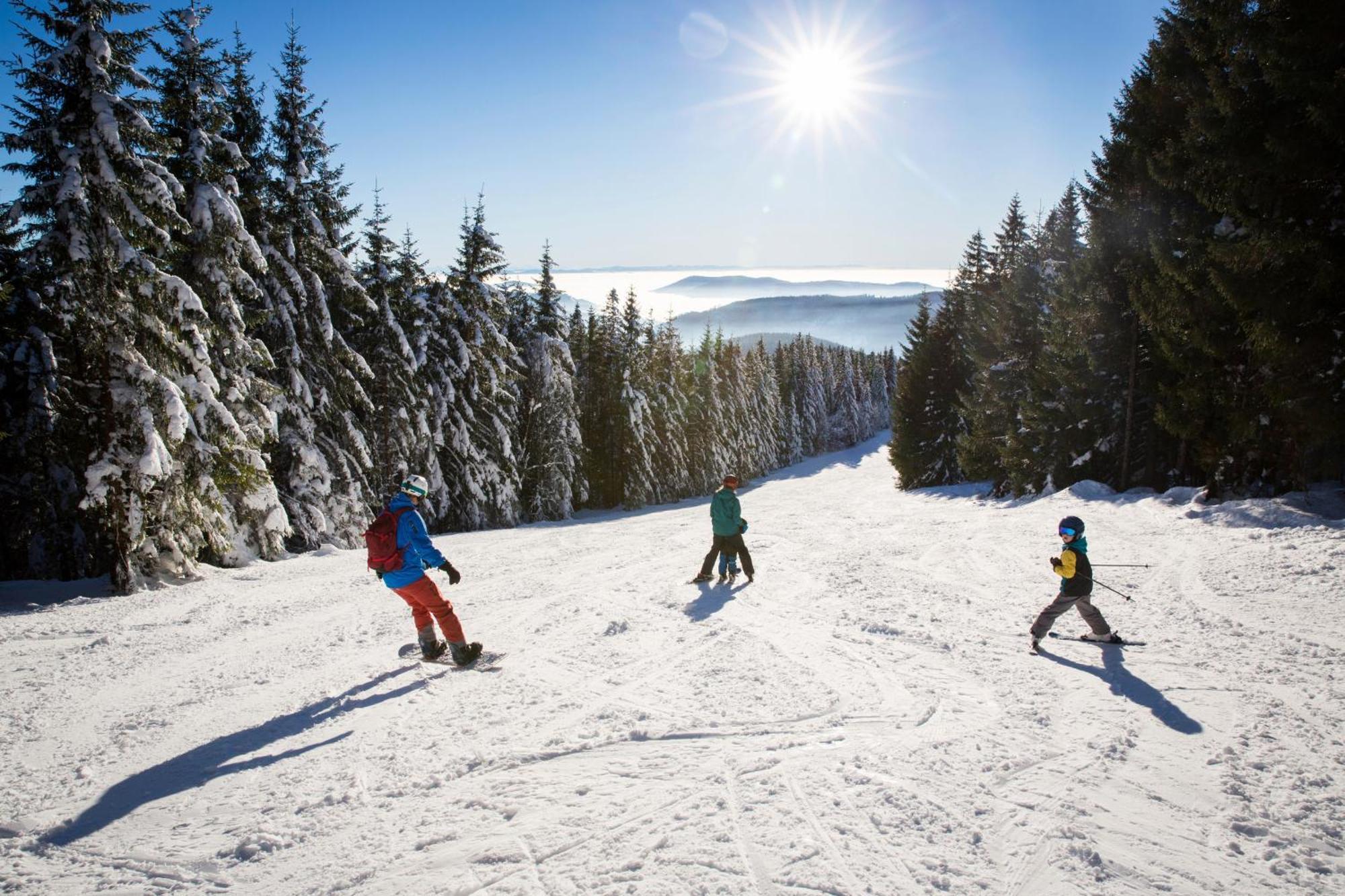Drei Tannen - Wohnung 09 - Apartmenthaus, Titisee, Feldberg Ngoại thất bức ảnh