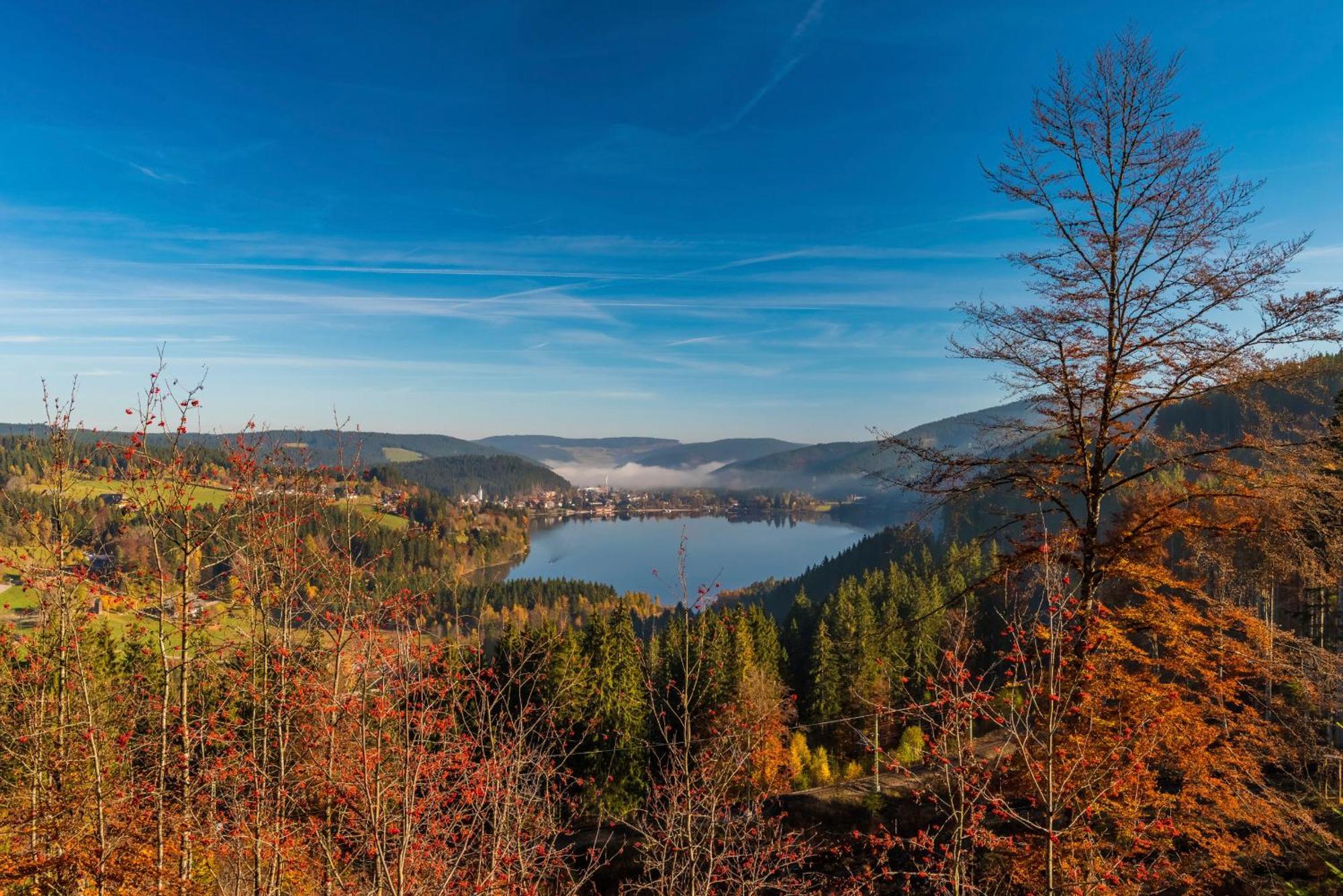 Drei Tannen - Wohnung 09 - Apartmenthaus, Titisee, Feldberg Ngoại thất bức ảnh