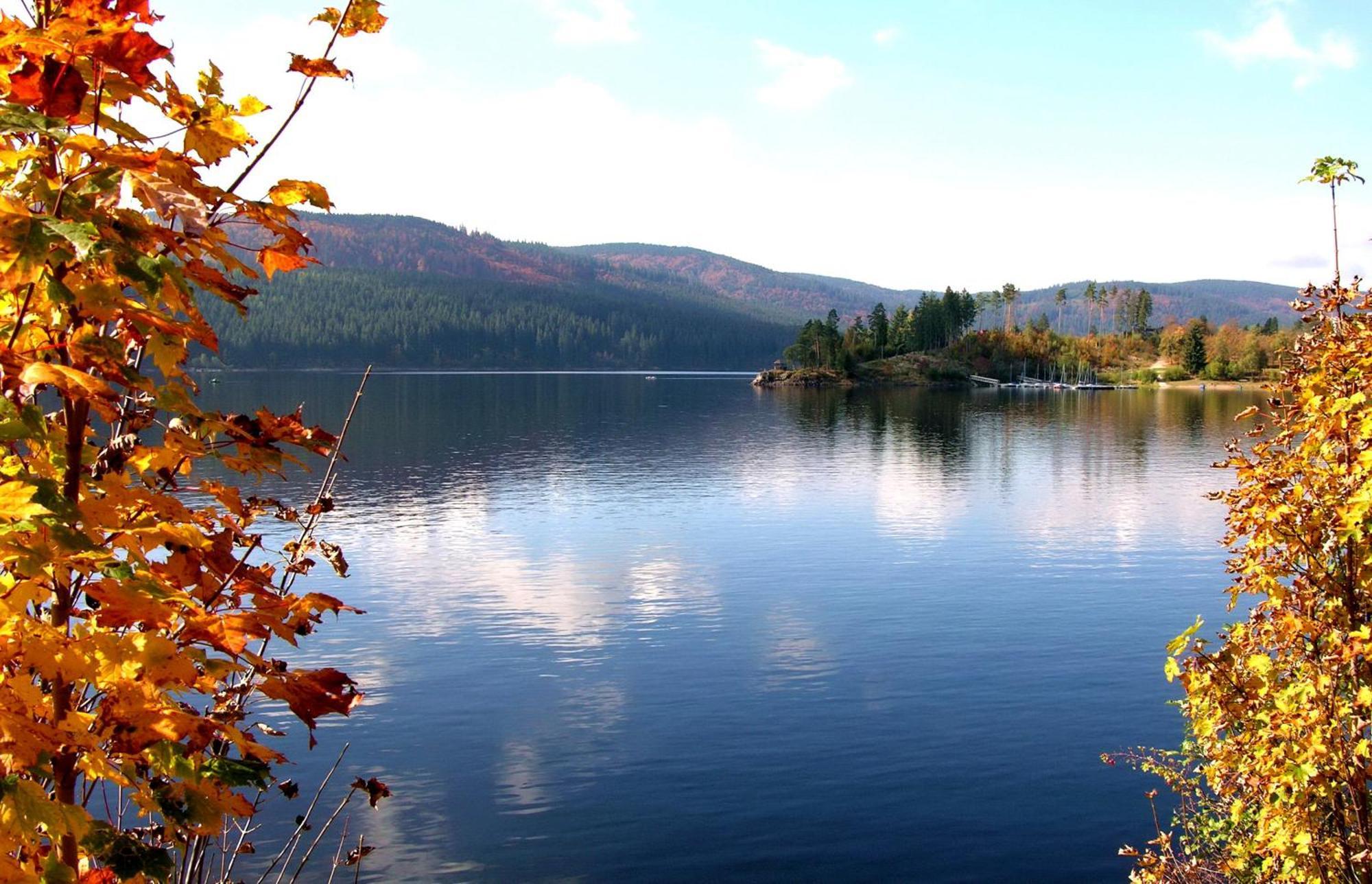 Drei Tannen - Wohnung 09 - Apartmenthaus, Titisee, Feldberg Ngoại thất bức ảnh